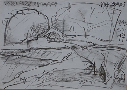 2021 Virágzó almafák 04