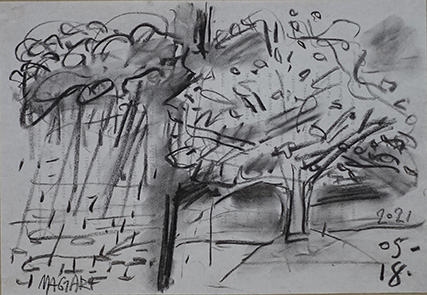 2021 Virágzó almafák 08