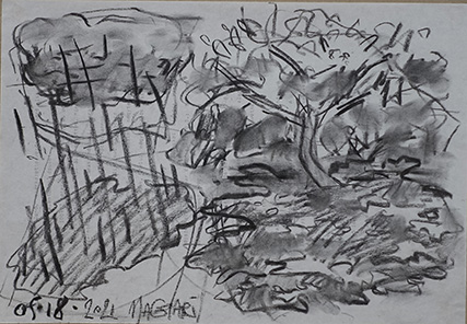 2021 Virágzó almafák 09