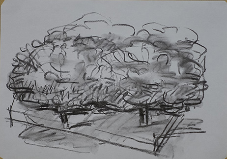 2021 Virágzó almafák 10